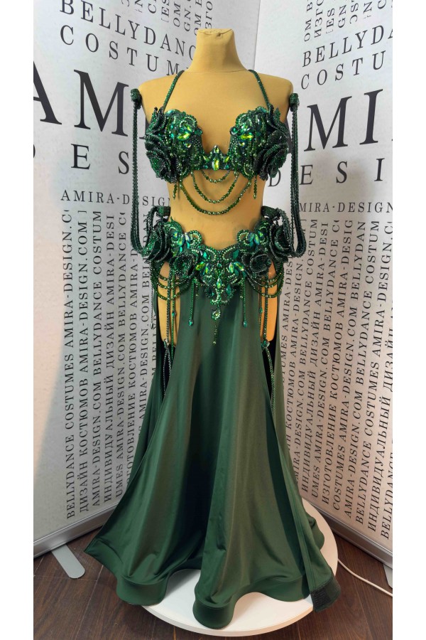 Professional bellydance costume Classic 488A_1